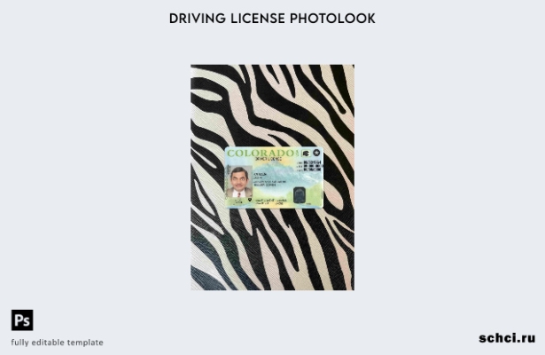 цифровая загрузка США, штат Колорадо, версия водительских прав, фотошаблон ПЕРЕД